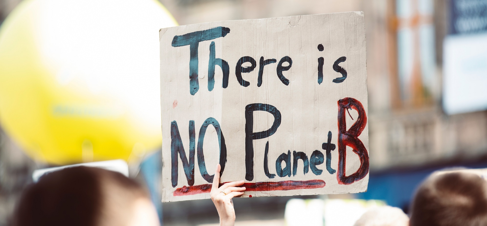 Demonstrationsschild:"There is NO Planet B"